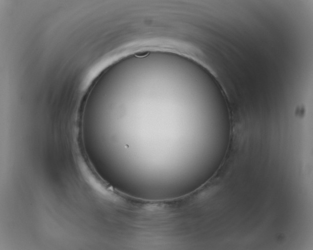 X0000111221523200907021322
