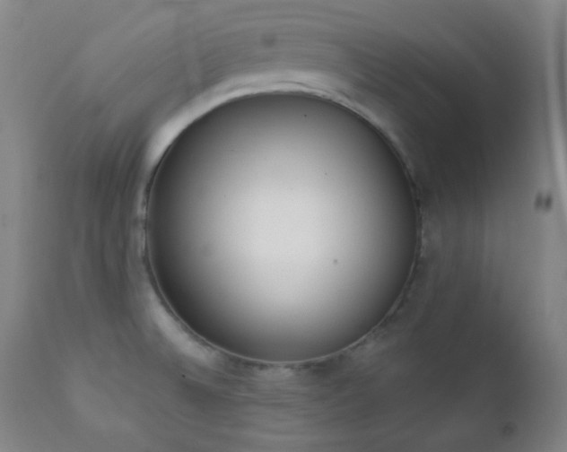 X0000111221524200907021322