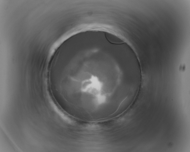 X0000111221525200907021322