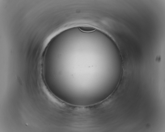 X0000111221526200907021322