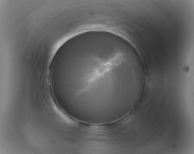 X0000111221527200907021322