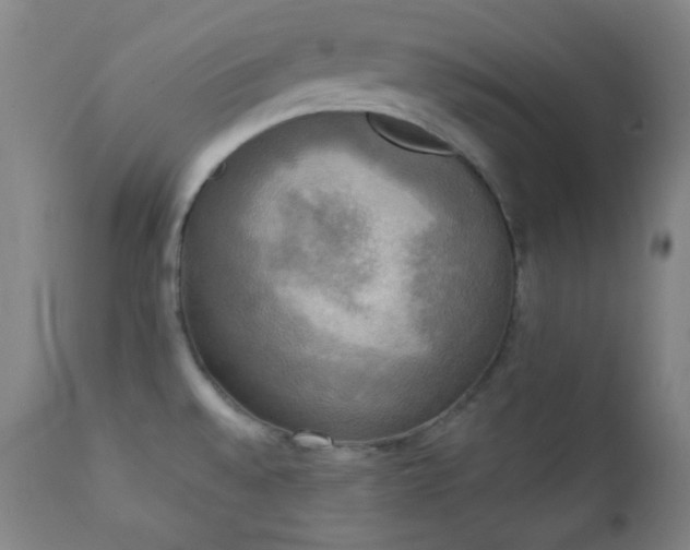 X0000111221528200907021322