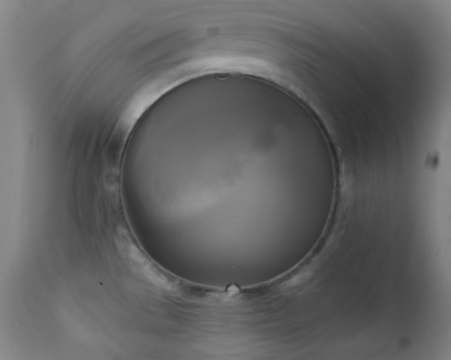 X0000111221529200907021322