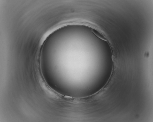 X0000111221530200907021322