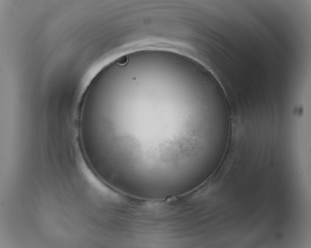 X0000111221531200907021322