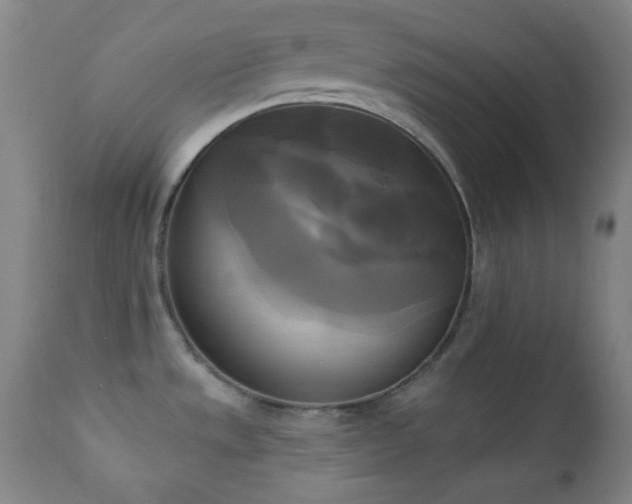 X0000111221533200907021322