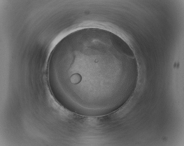X0000111221536200907021322