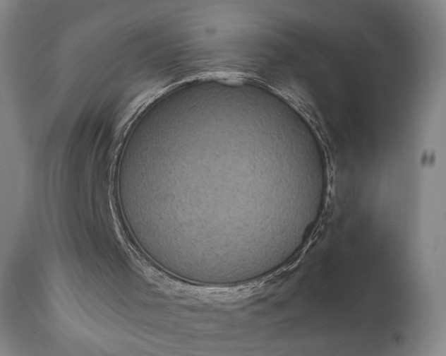 X0000111220001200907091324