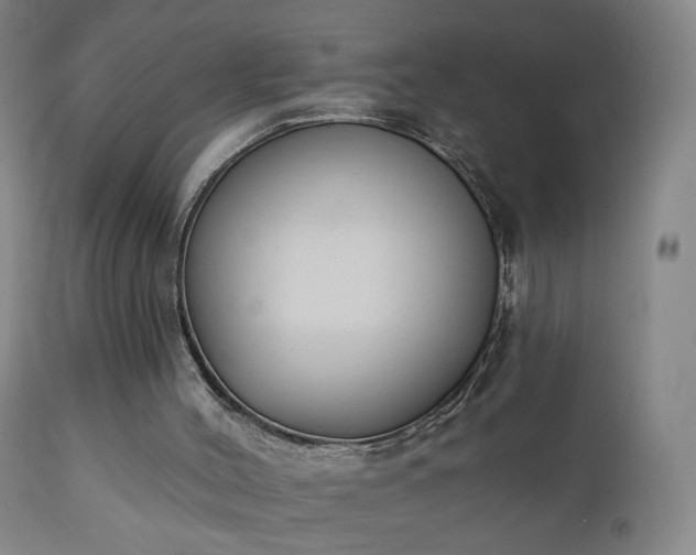 X0000111220004200907091323