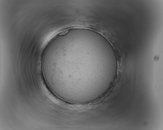 X0000111220005200907091323