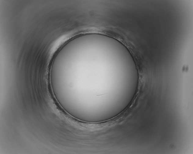 X0000111220006200907091323