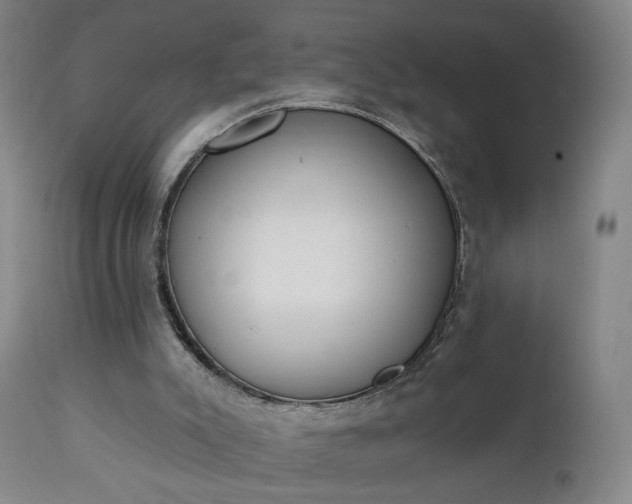 X0000111220007200907091323