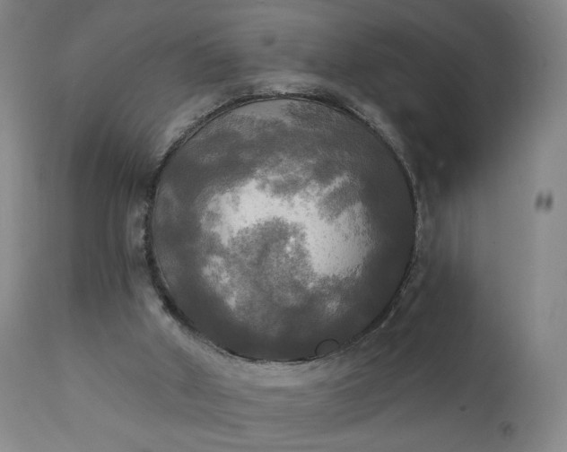 X0000111220010200907091323