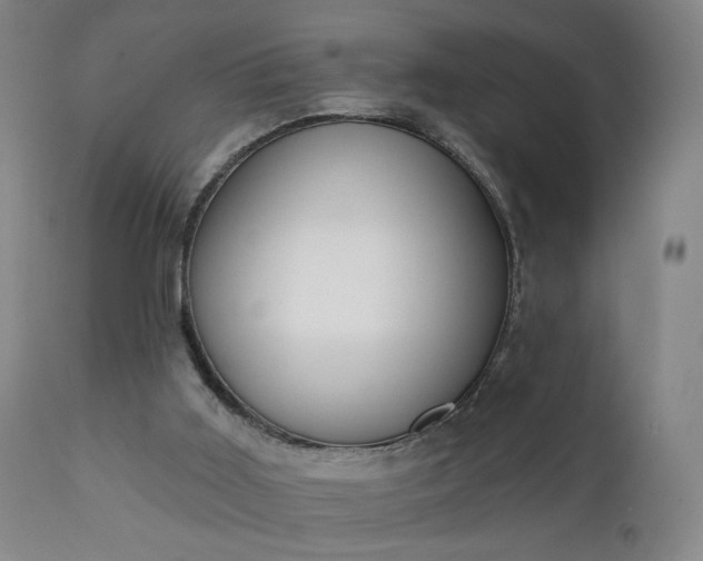 X0000111220011200907091323