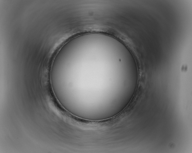 X0000111220012200907091323