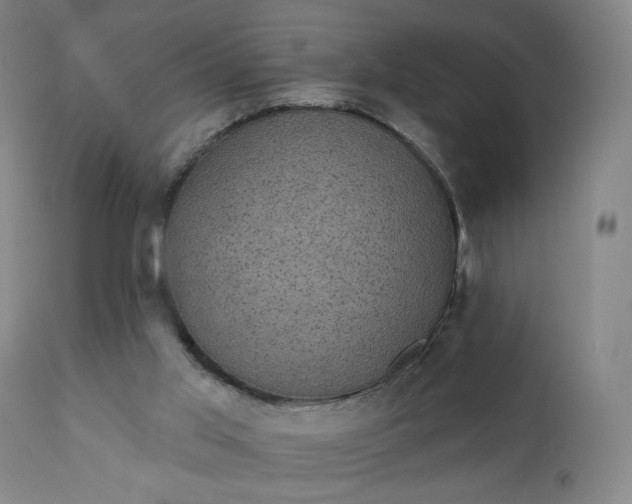 X0000111220013200907091323