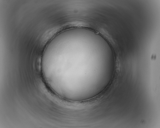 X0000111220014200907091323