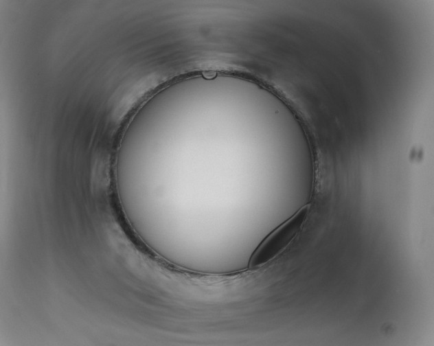 X0000111220015200907091323