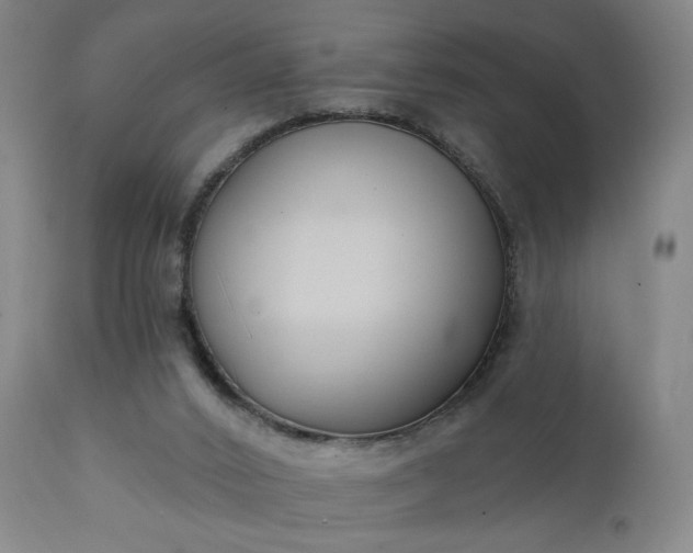 X0000111220016200907091323