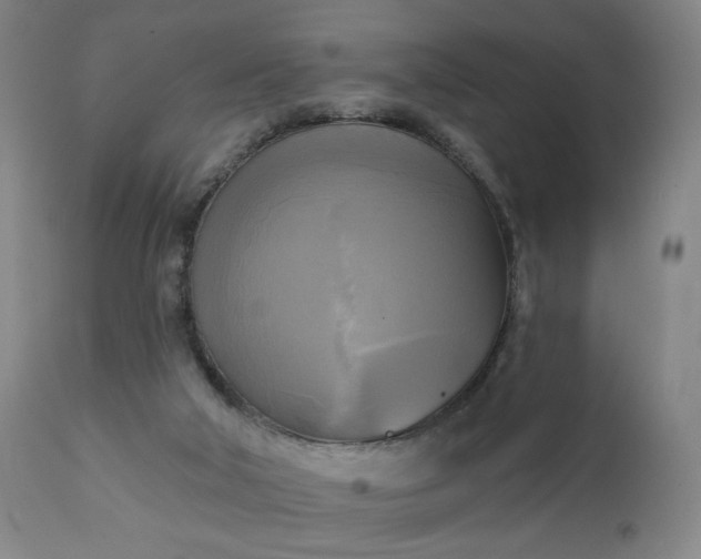 X0000111220018200907091323