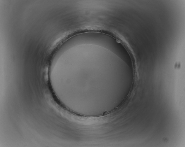 X0000111220019200907091323