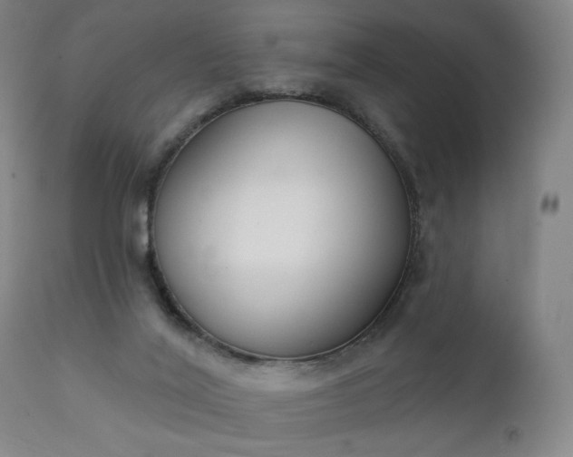 X0000111220020200907091323