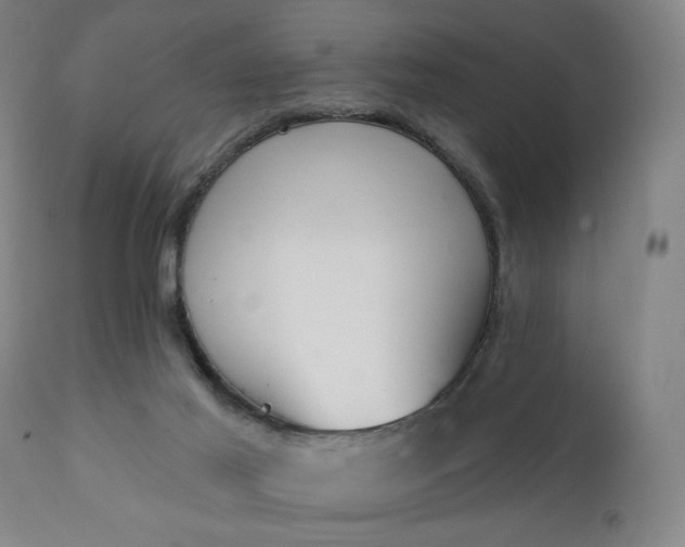 X0000111220021200907091323