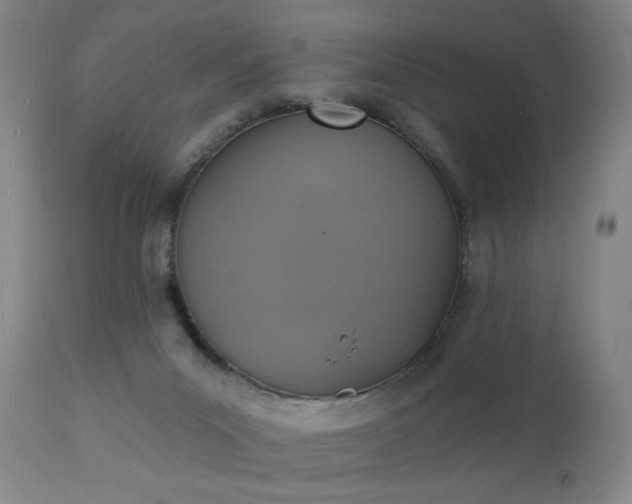 X0000111220023200907091323