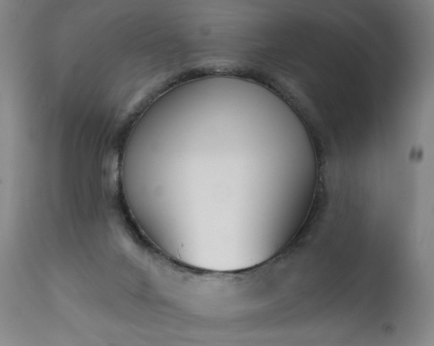 X0000111220024200907091323