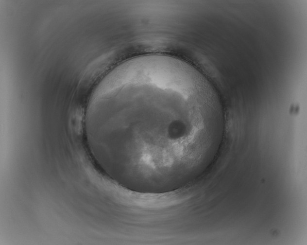 X0000111220026200907091323