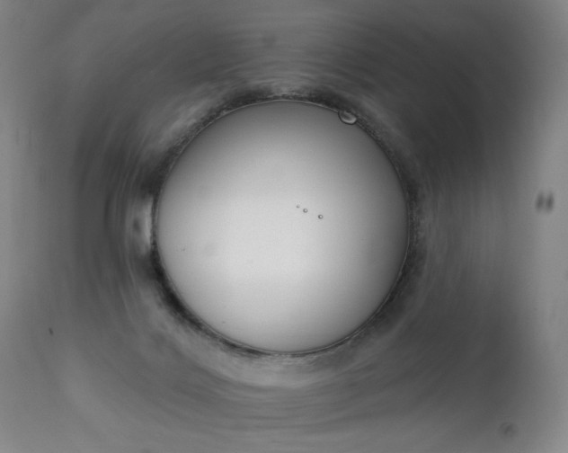 X0000111220028200907091323