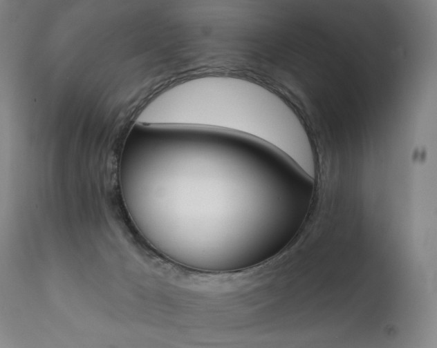 X0000111220029200907091323