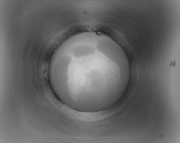 X0000111220030200907091323