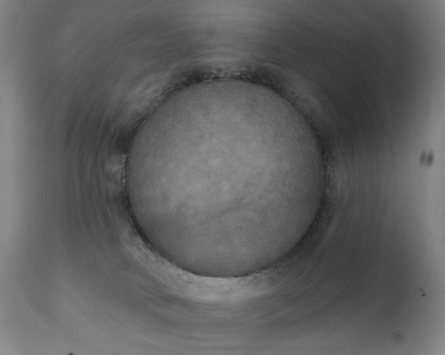 X0000111220034200907091323