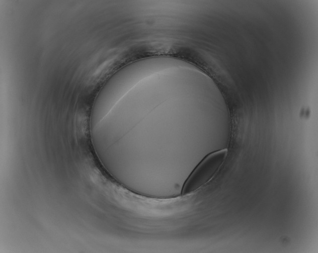X0000111220035200907091323