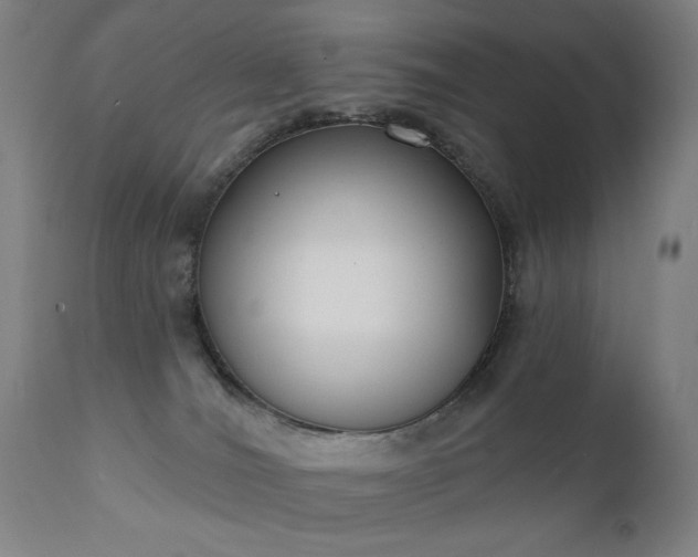 X0000111220036200907091323