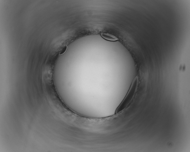 X0000111220037200907091323