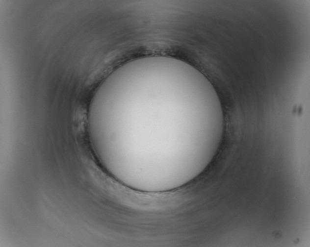 X0000111220038200907091323