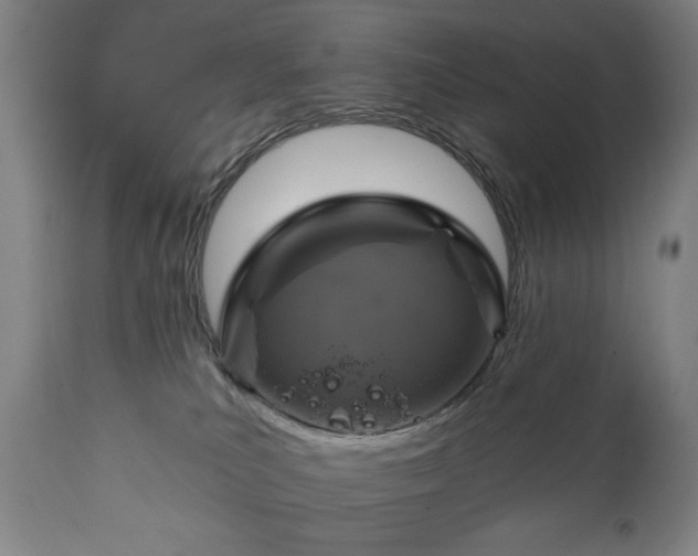 X0000111220039200907091323