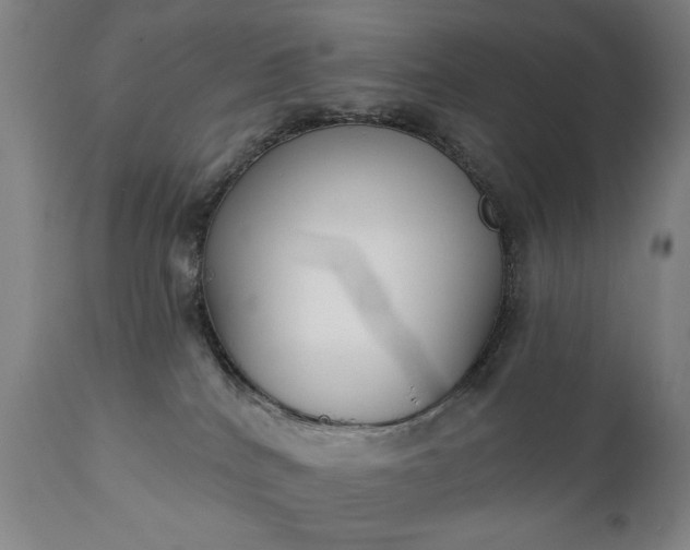 X0000111220040200907091323