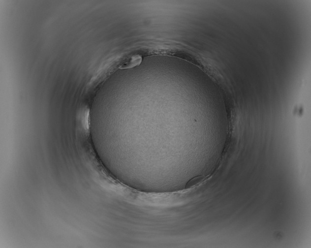 X0000111220041200907091323