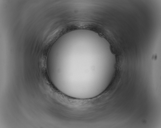 X0000111220044200907091323