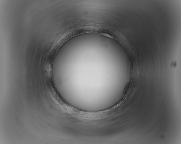 X0000111220045200907091323