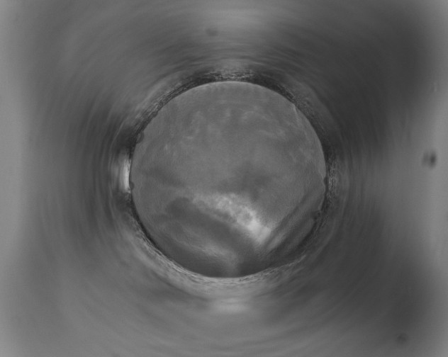 X0000111220046200907091323