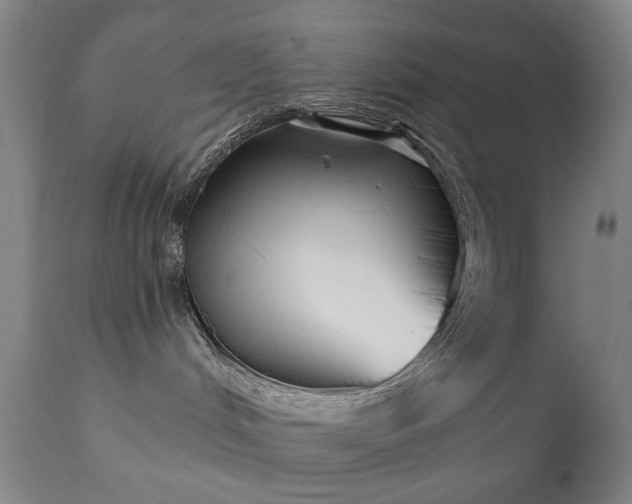 X0000111220048200907091323