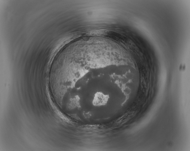 X0000111220049200907091322