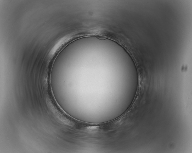 X0000111220054200907091322