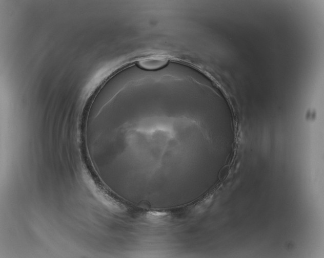 X0000111220055200907091322