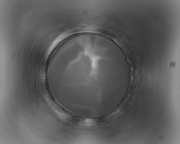 X0000111220056200907091322