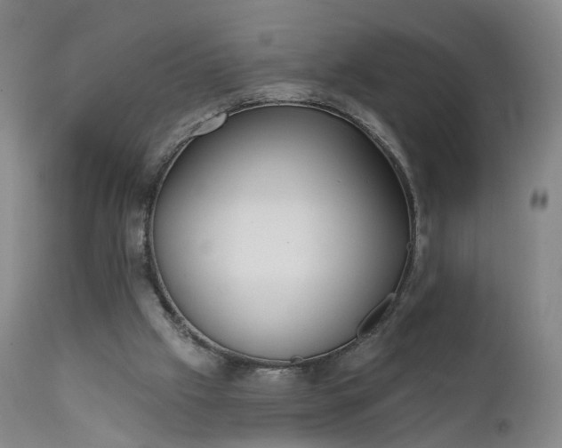 X0000111220057200907091322